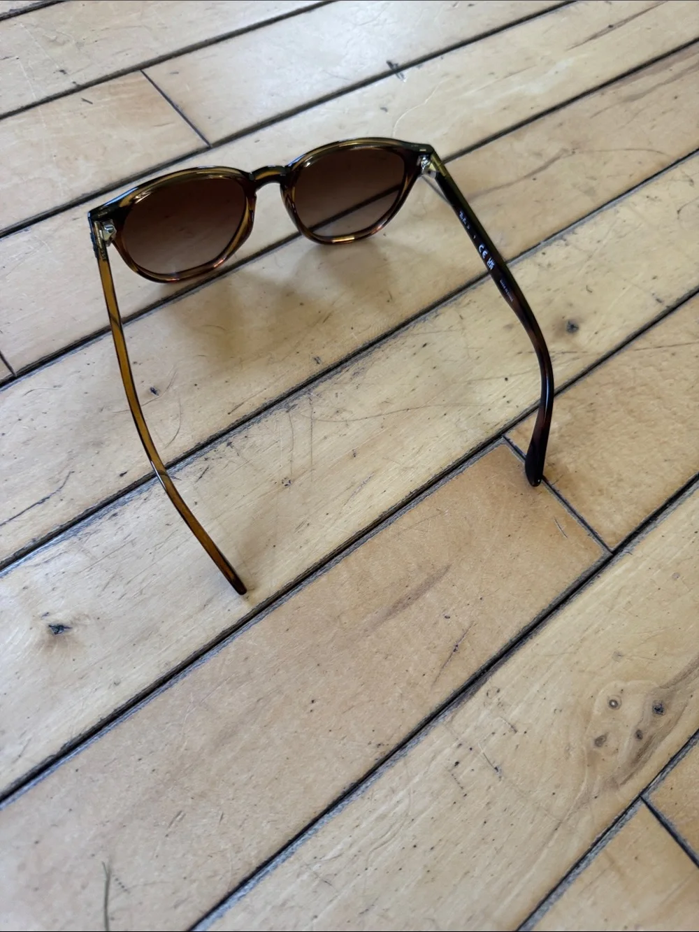 Ray-Ban Brown Tortoise Frame with Brown Lenses Sunglasses